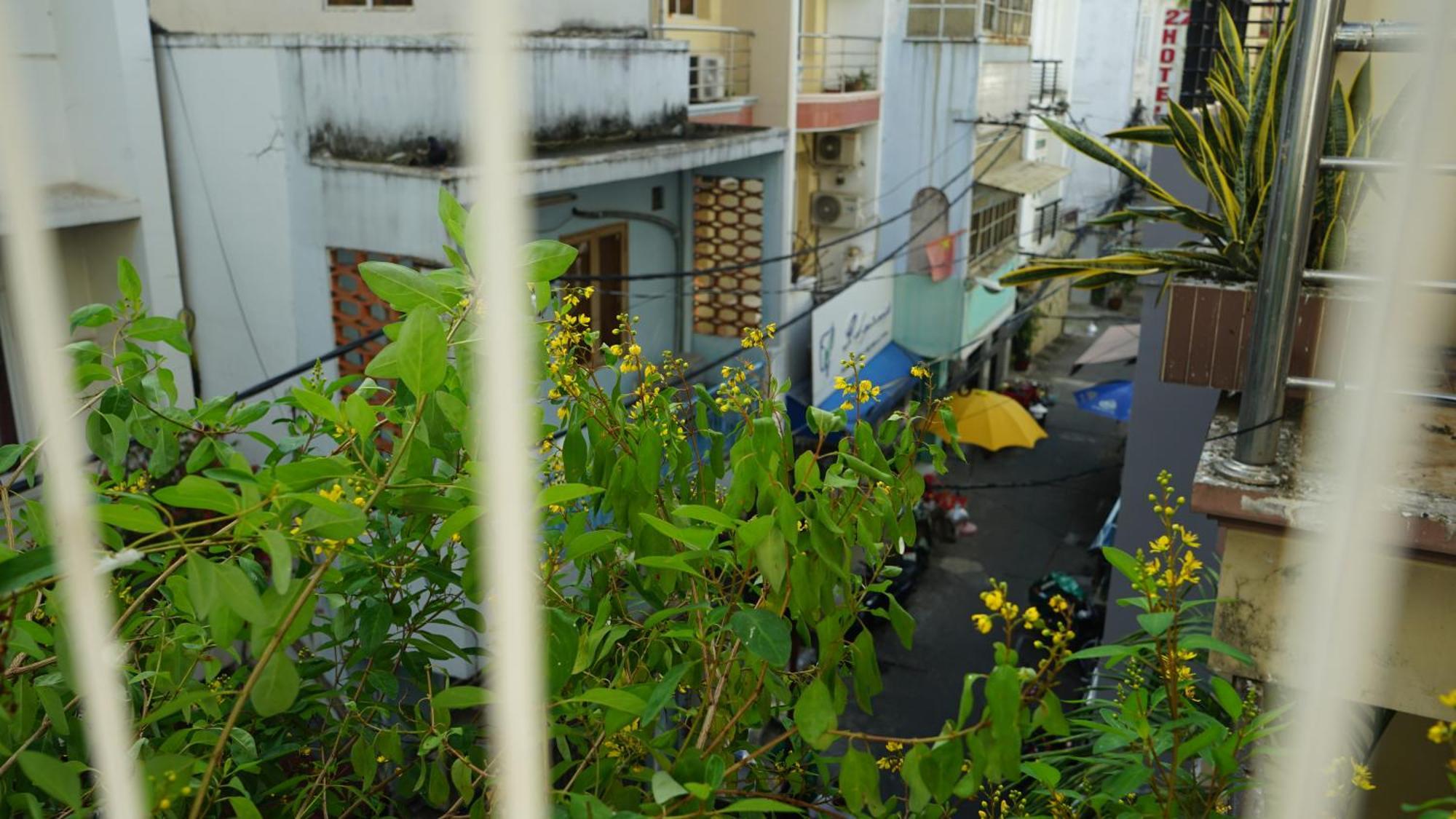 Maiam Homestay Ho Chi Minh-staden Exteriör bild